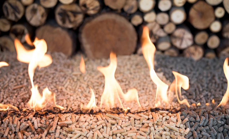 Les différents types de bois de chauffage